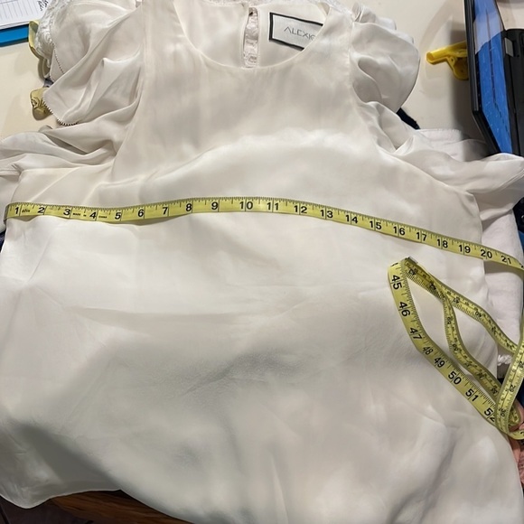 Alexis Butterfly Sleeve Silk Blouse - Picture 10 of 10